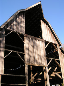 old barn at Bald Hill: photo by Sienna