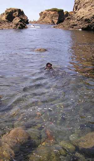 first swim #58 -- photo by Sienna, 4 August 2004